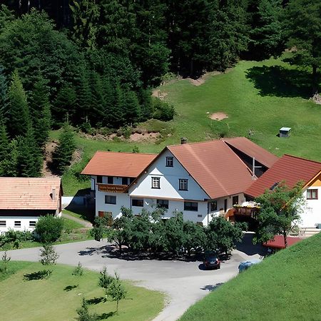 Ferienwohnung Holderstanzenhof Bad Peterstal-Griesbach Exterior foto