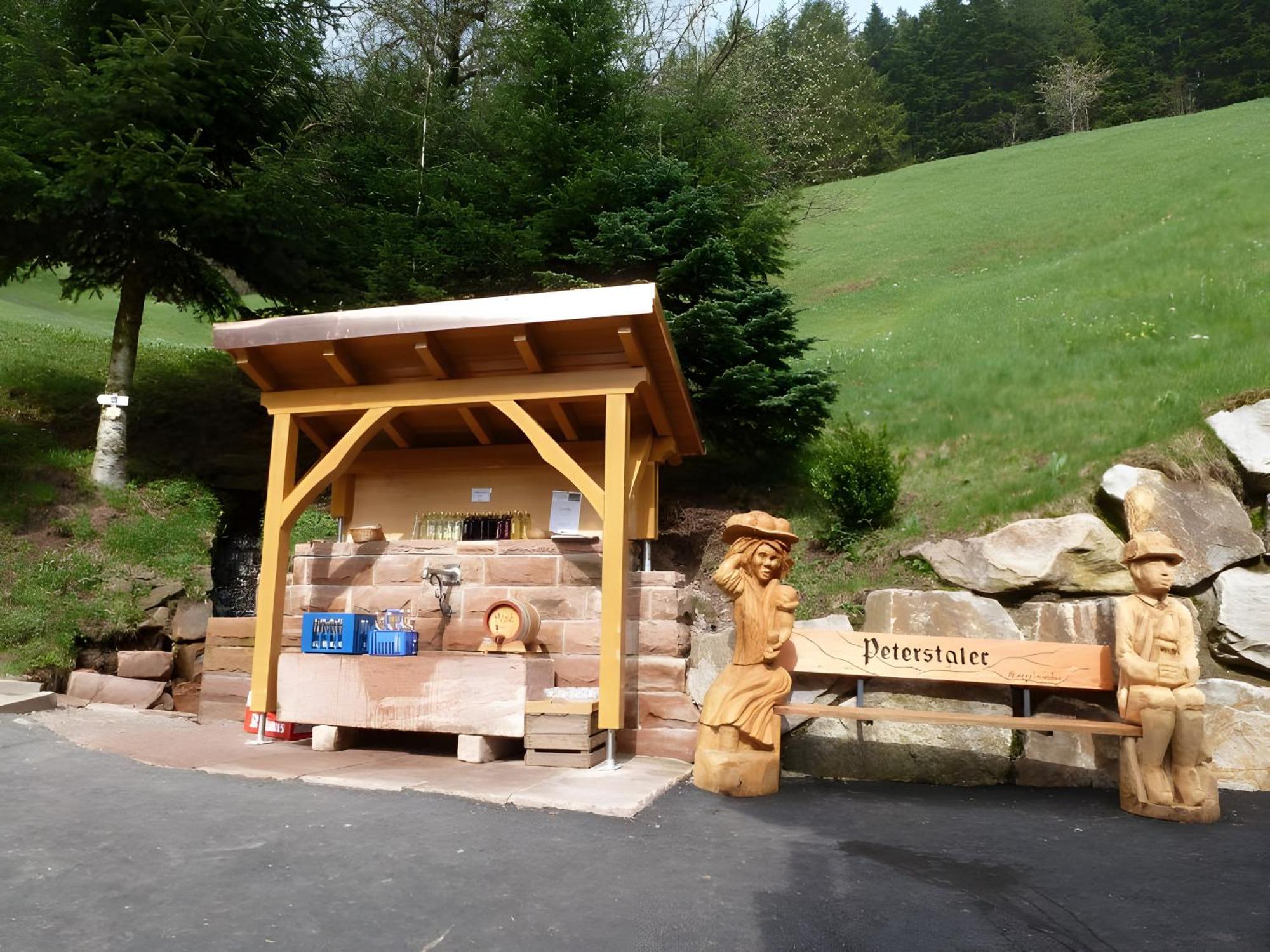 Ferienwohnung Holderstanzenhof Bad Peterstal-Griesbach Exterior foto