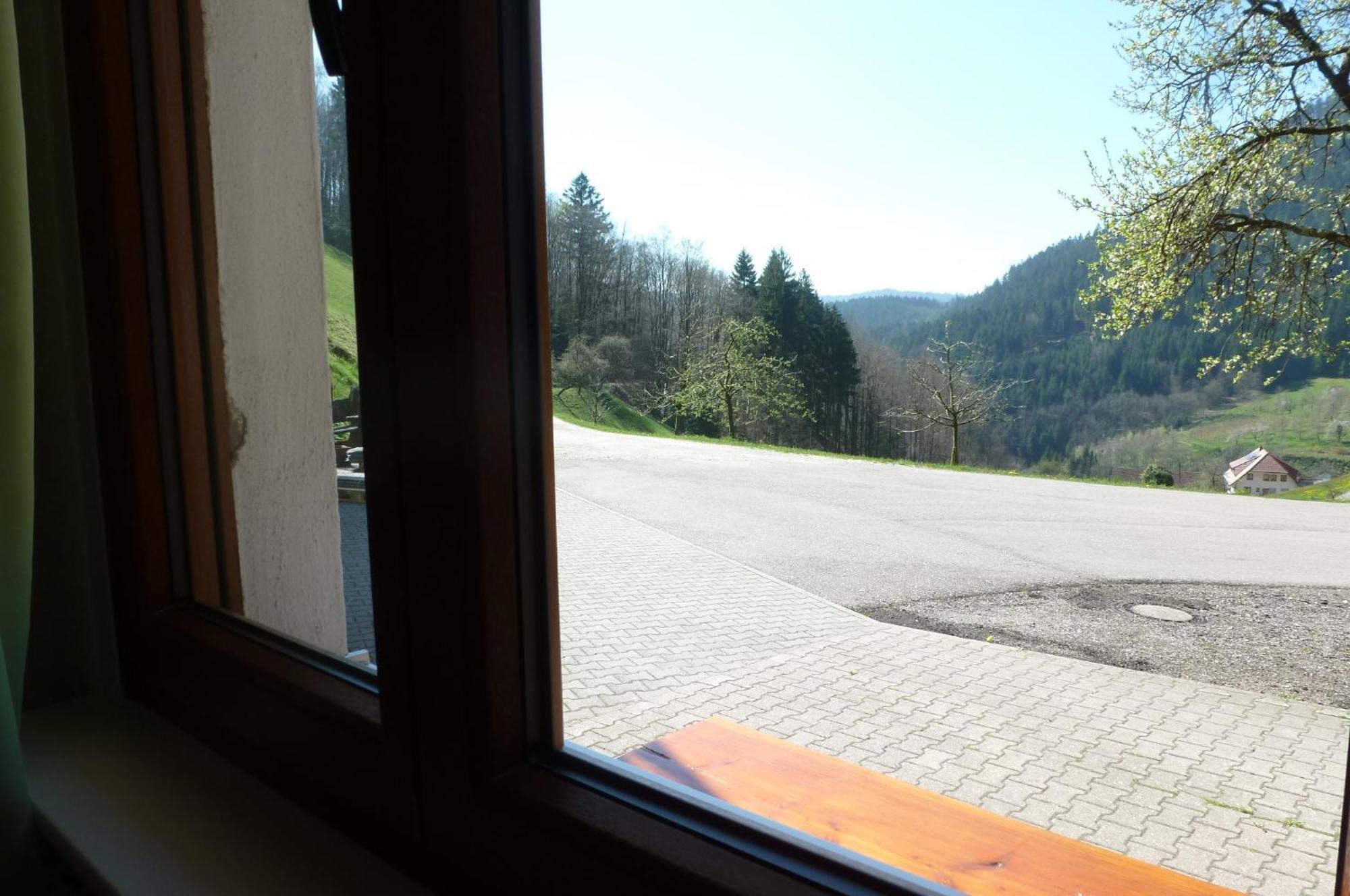 Ferienwohnung Holderstanzenhof Bad Peterstal-Griesbach Exterior foto