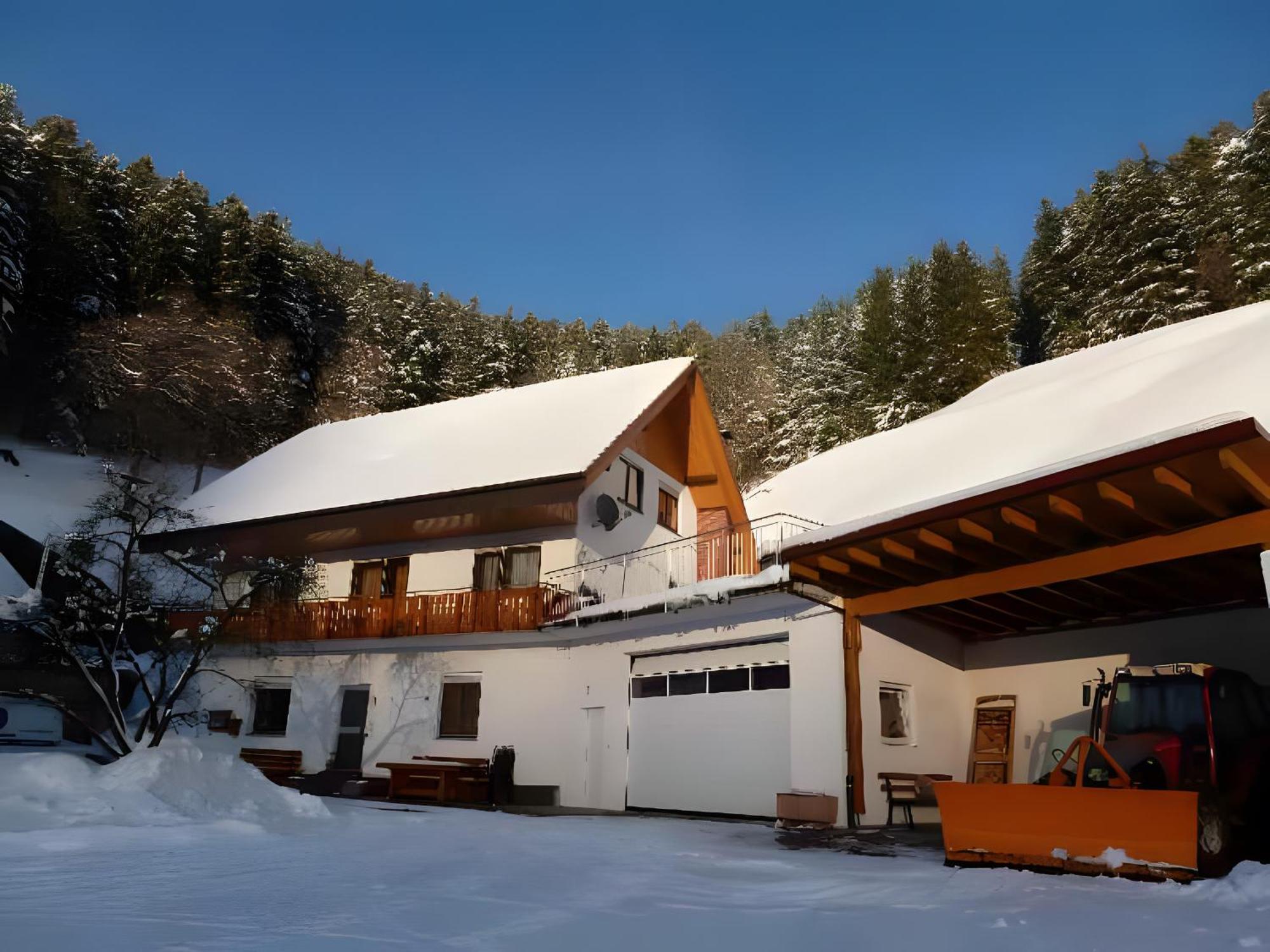Ferienwohnung Holderstanzenhof Bad Peterstal-Griesbach Exterior foto